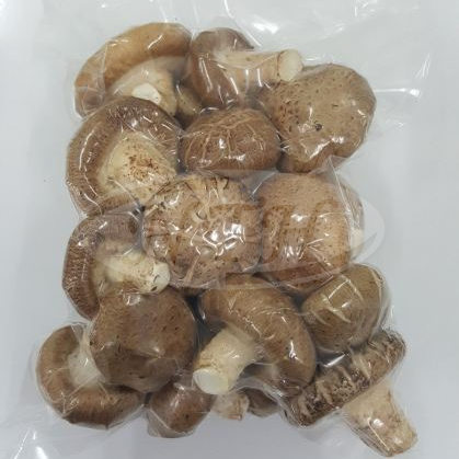 Flower Shitake Mushroom/ Cendawan Shitake Bunga